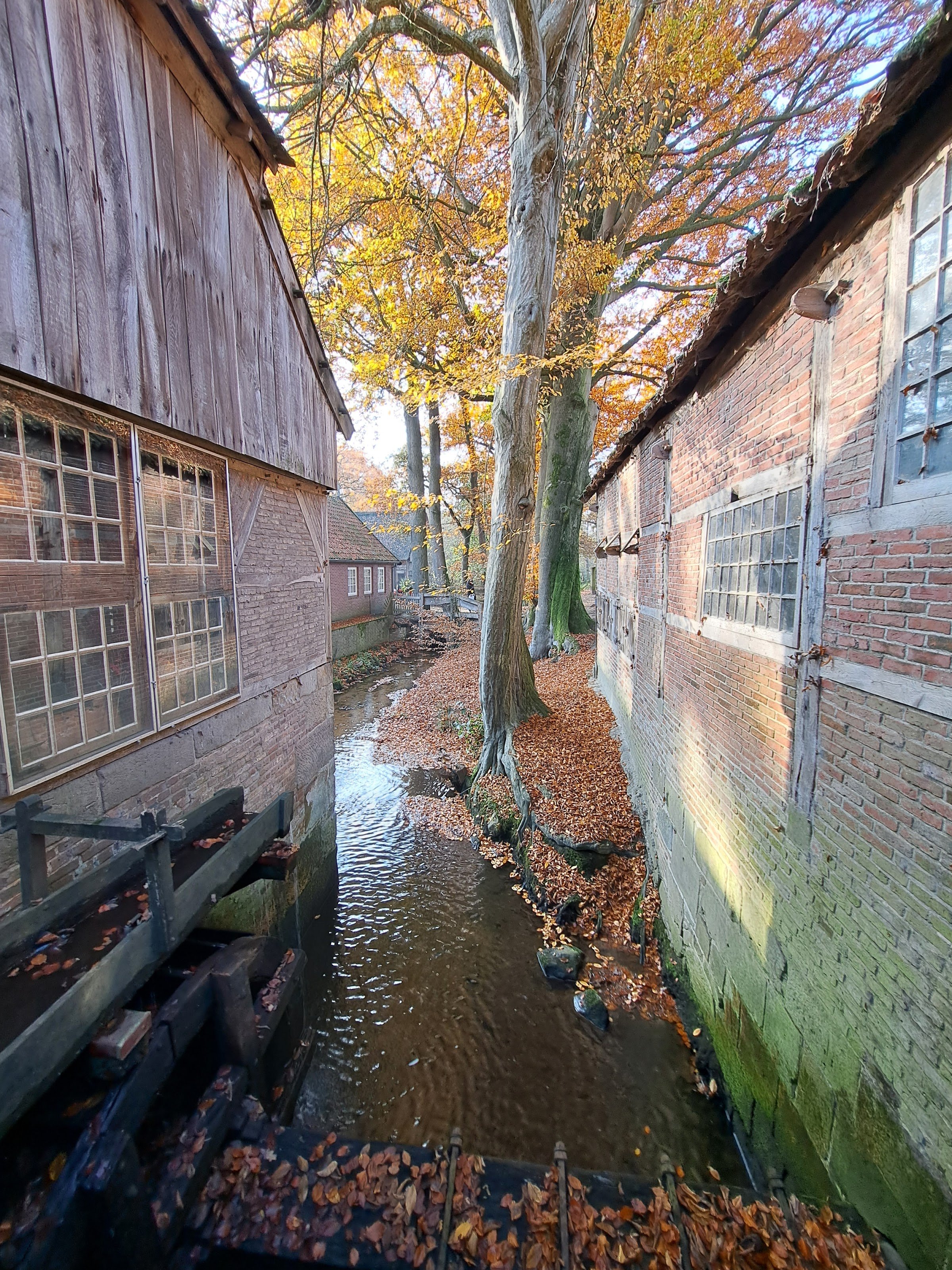 Restaurant Watermolen Bels